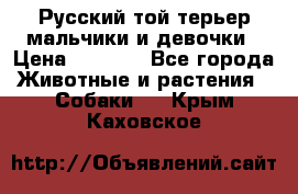 Русский той-терьер мальчики и девочки › Цена ­ 8 000 - Все города Животные и растения » Собаки   . Крым,Каховское